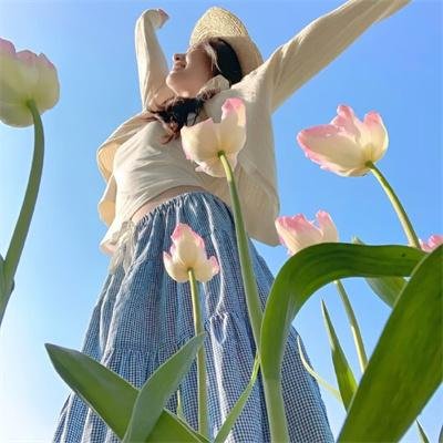 企鹅布鲁姆